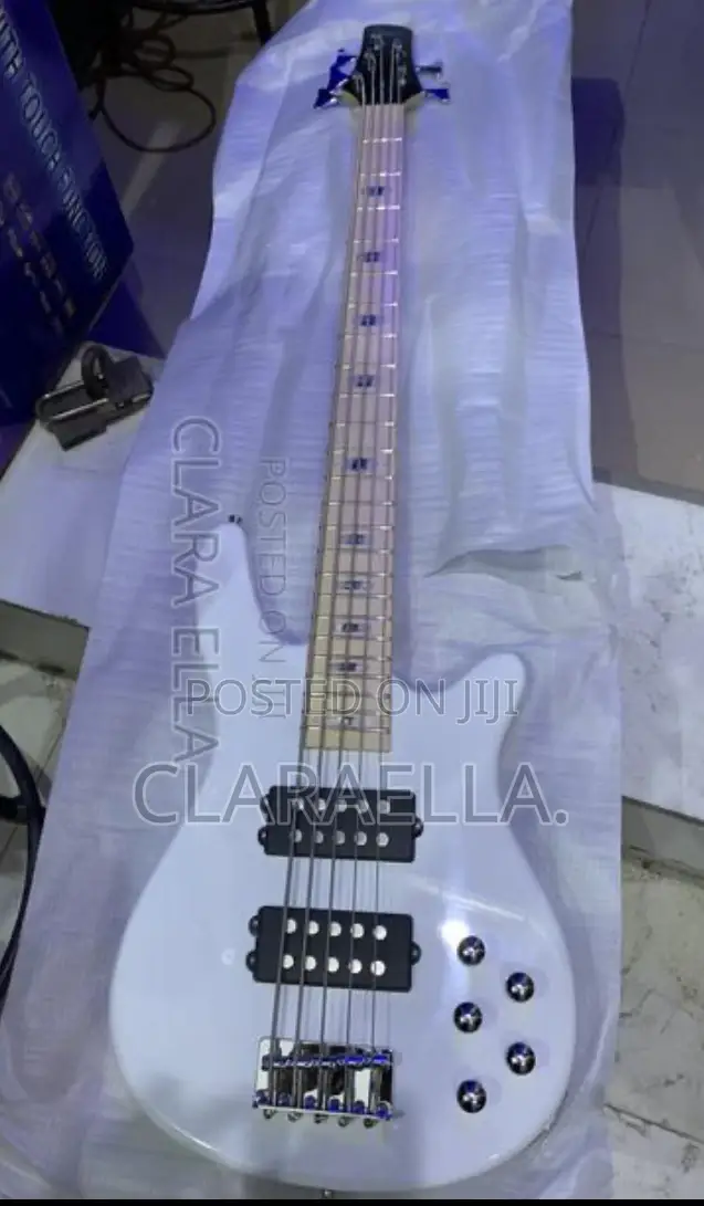 Alvarez 5-string Bass Guitar
