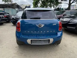 Mini Countryman 2011 Blue