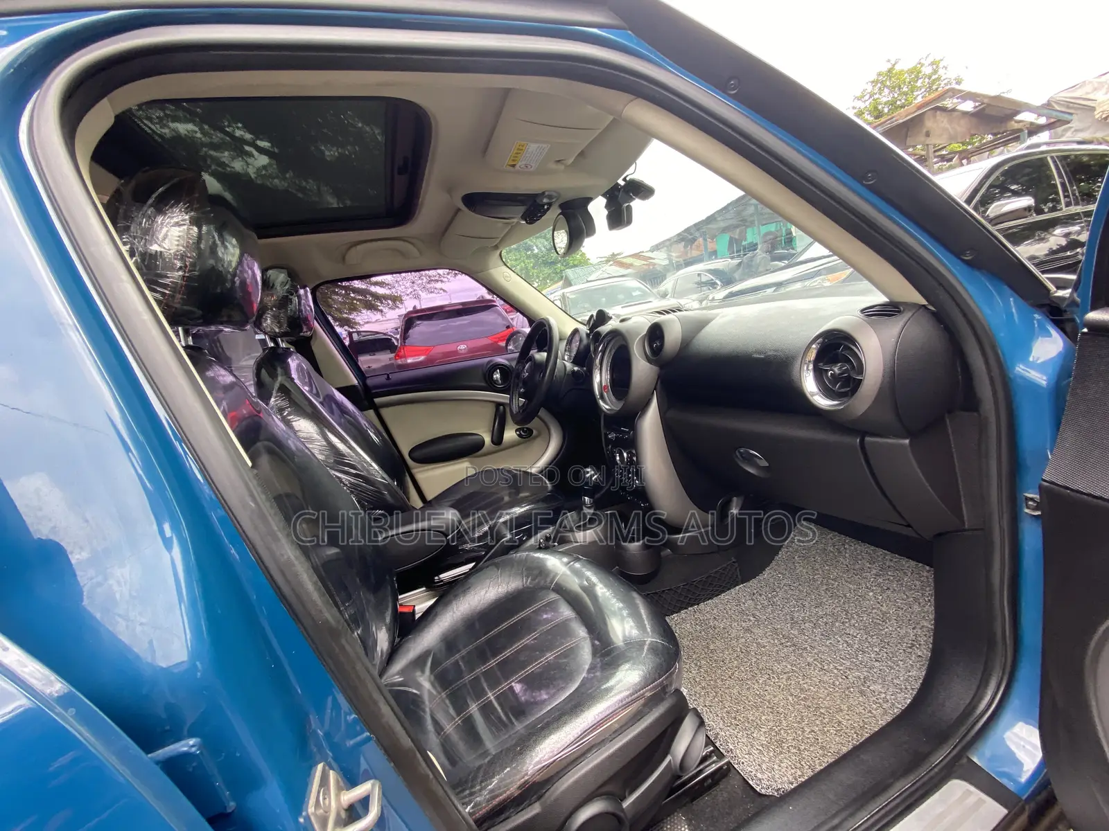 Mini Countryman 2011 Blue