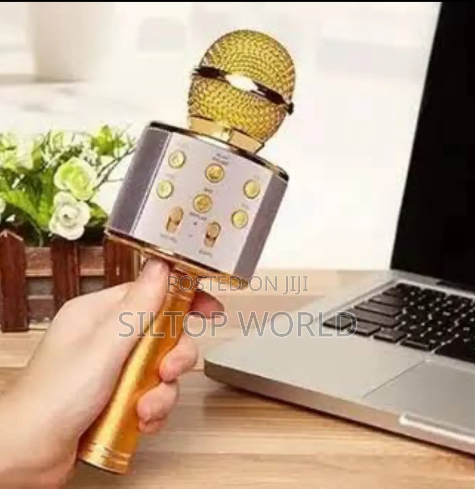 Rechargeable Wireless Microphone