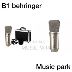Behringer B1 Studio Microphone