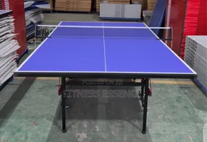 Brand New Indoor Table Tennis With Bat and Egg