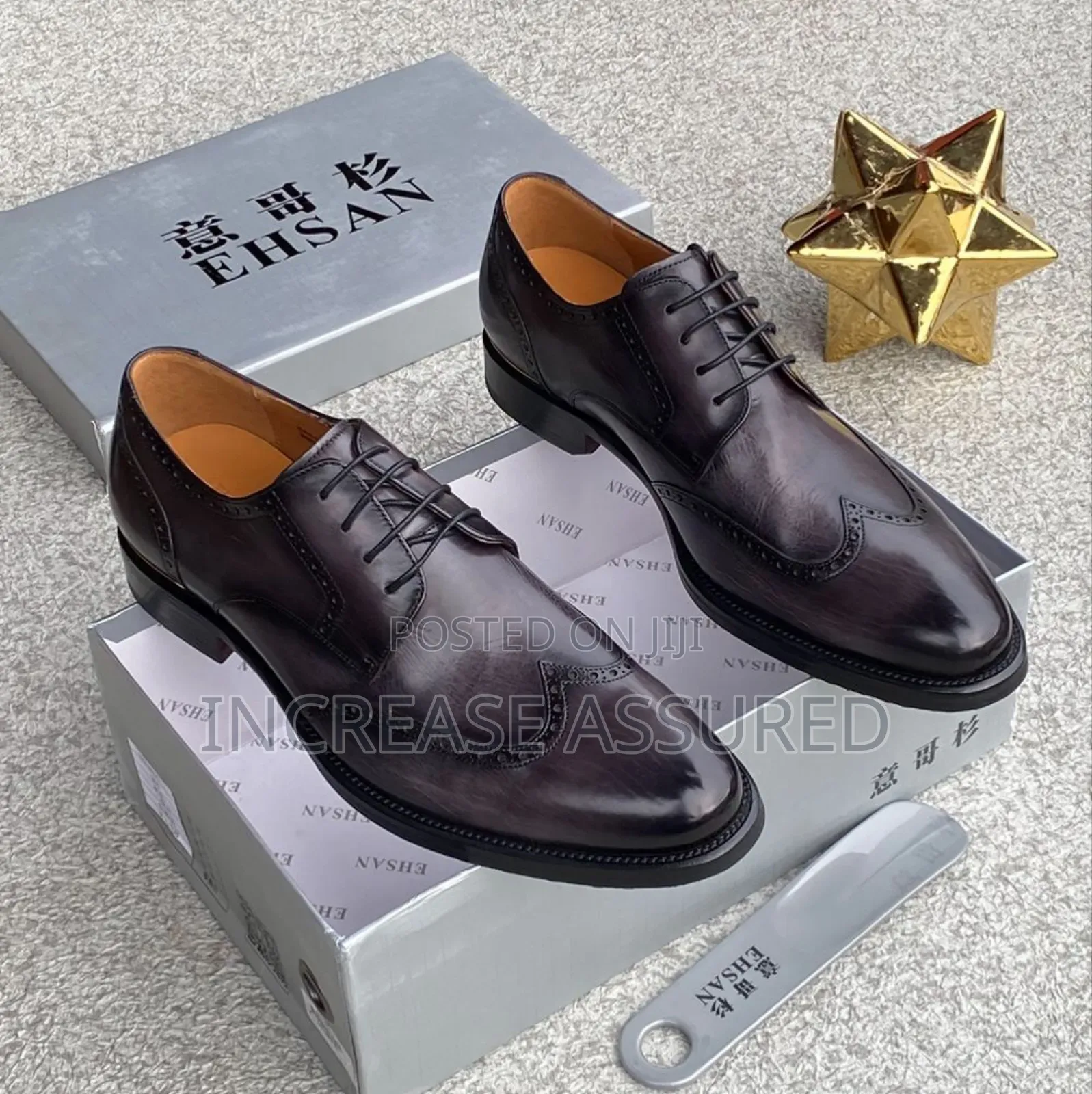Luxury Ehsan Cooperate Shoes
