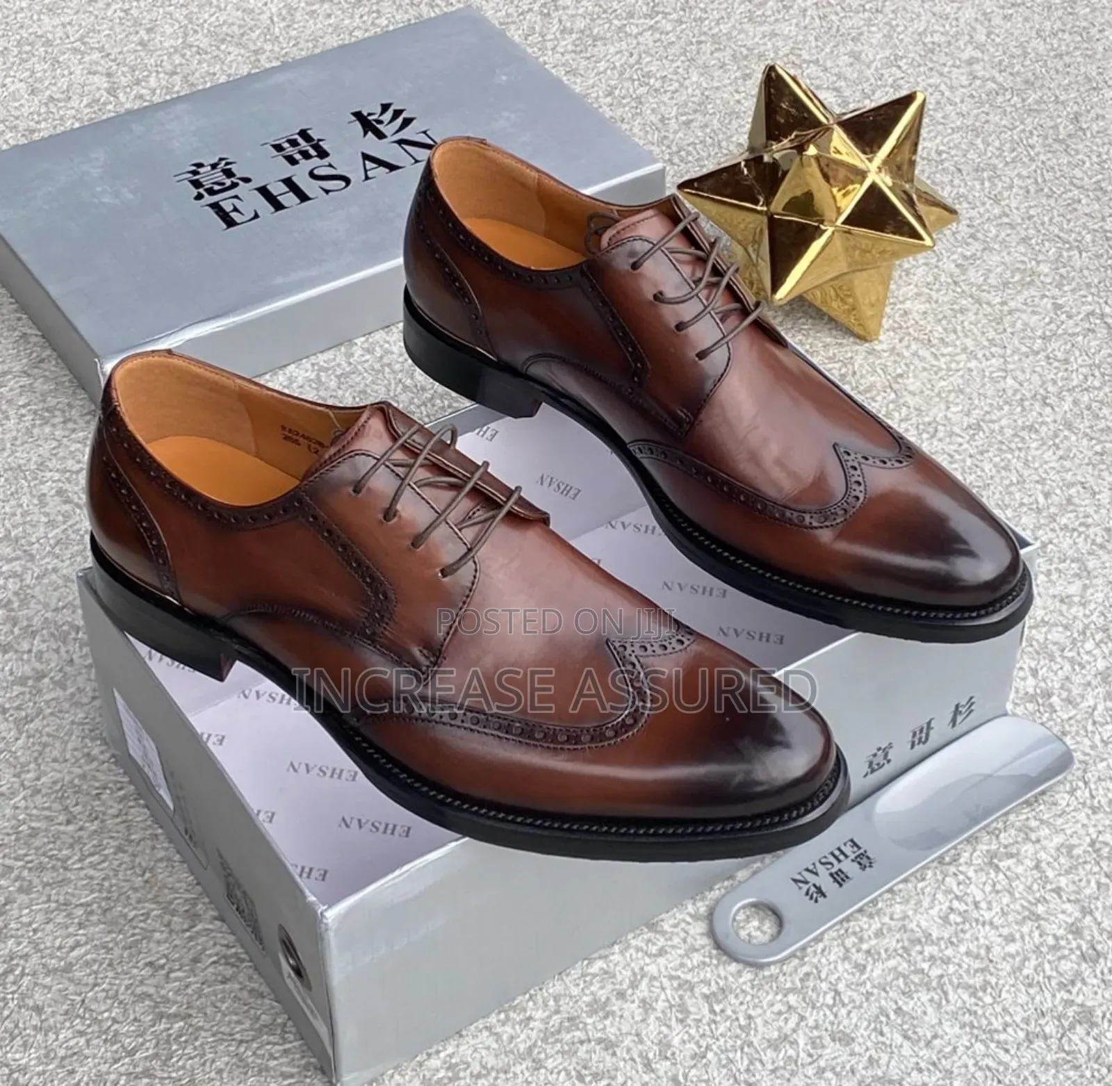 Luxury Ehsan Cooperate Shoes