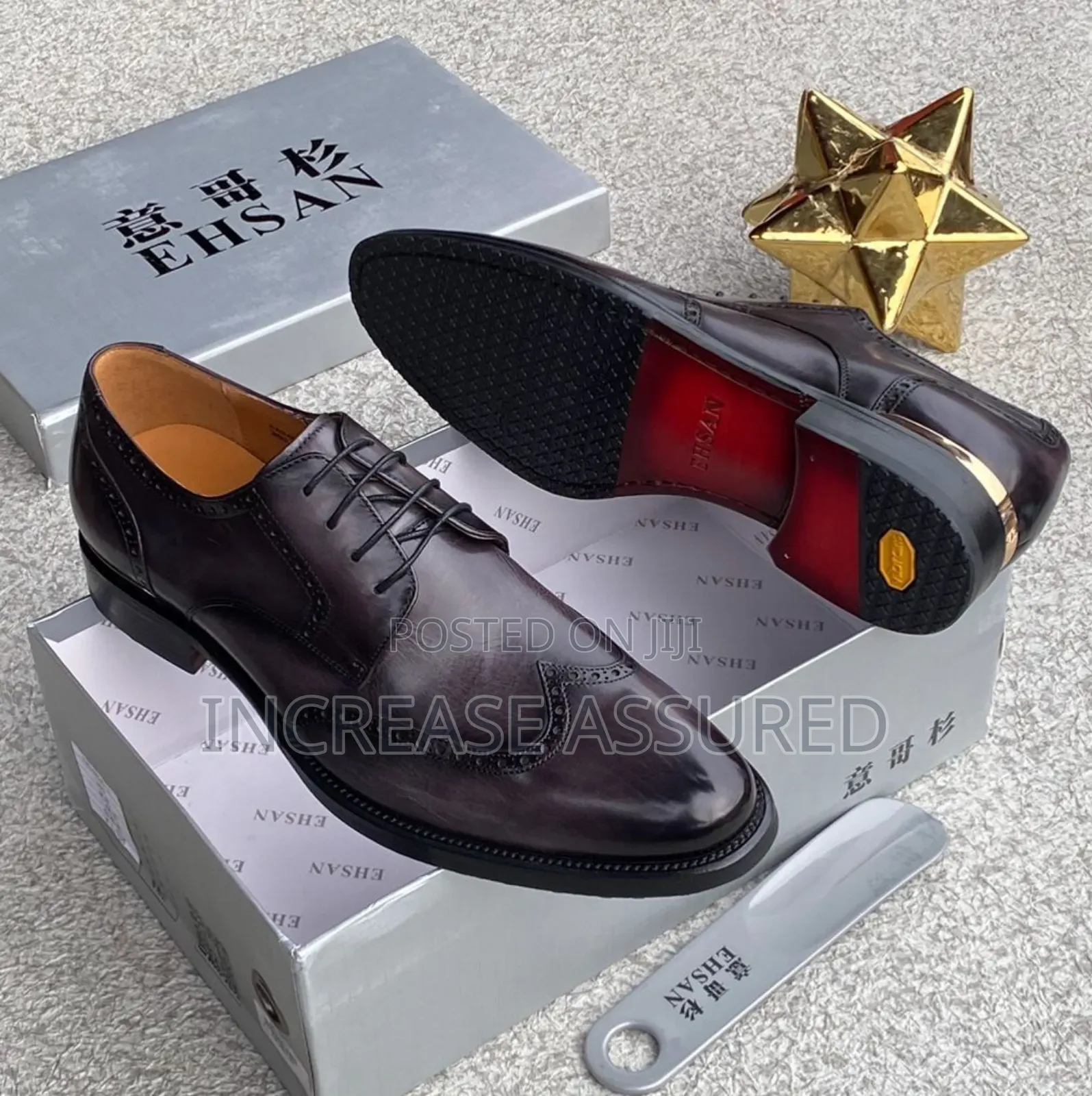 Luxury Ehsan Cooperate Shoes