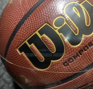 Photo - Wilson Basketball Ball