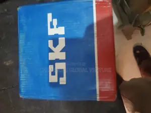 SKF Bearing 