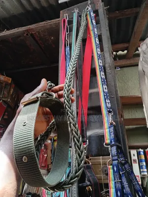 Dog Collars and Leashes