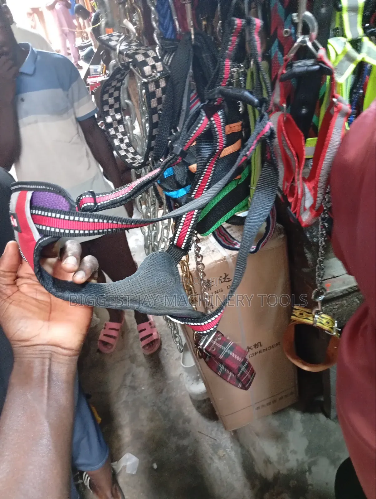 Dog Collars and Leashes