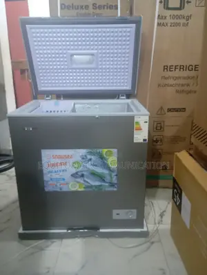 Great Quality Snowsea 150liters Chest Freezer Bd-208