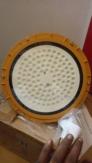 Lamp Light 100watts