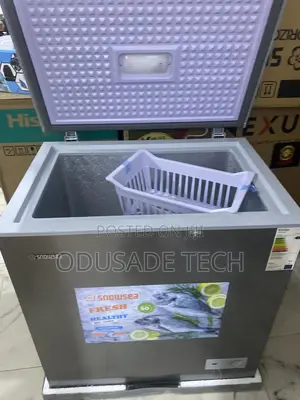 Snowsea 170l Freezer – Perfect for Bulk Food Storage