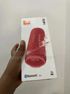 Brand New JBL Flip 6