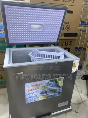Snowsea Bd-208 Freezer – Long-Term Food Preservation 170l
