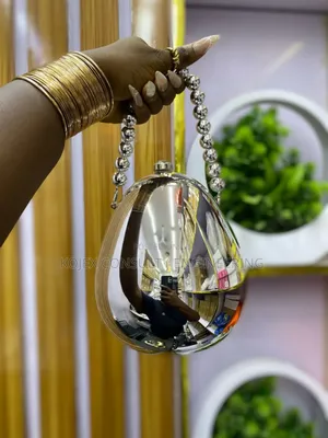 Golden/Silver Purse