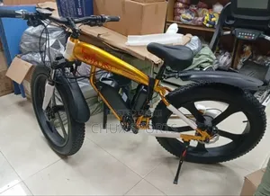Electric Bicycle