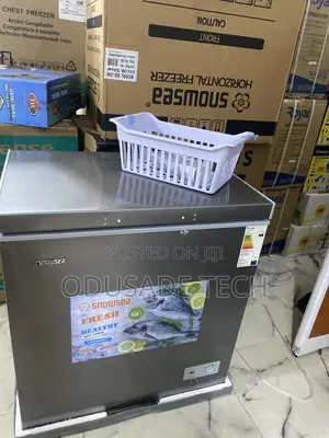 Snowsea Bd-208 – Premium 170l Freezer