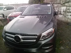 Mercedes-Benz GLE-Class GLE 350d 4MATIC 2017 Gray