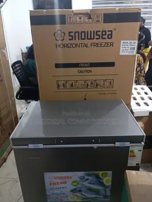 Snowsea 150l Chest Freezer Bd-208: Designed for Efficiency