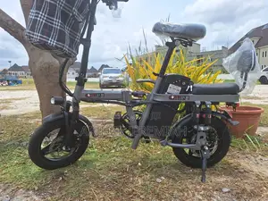 New Motorcycle 2024 Gray