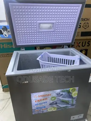 Snowsea 170l – Eco-Friendly Cooling Tech 170l