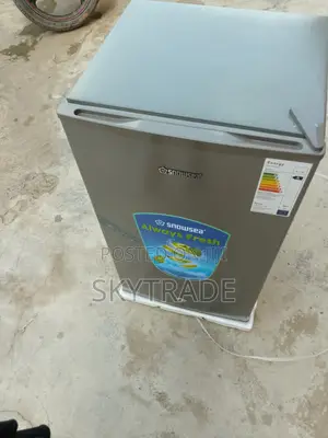 Energy Saving Consumption Snowsea Refridgerator