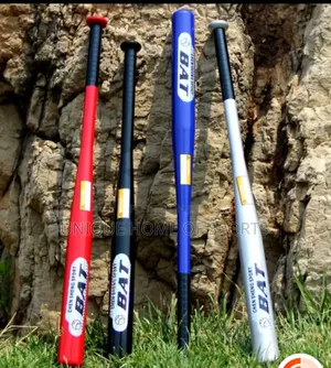 Photo - Baseball Bat