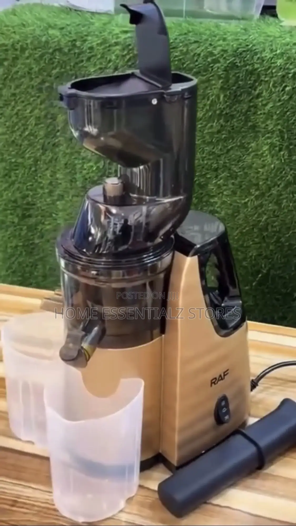 Raf Slow Juicer Smoothie Maker - Juice Blender