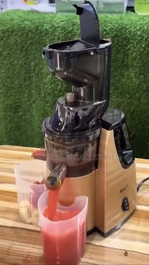 Raf Slow Juicer Smoothie Maker - Juice Blender