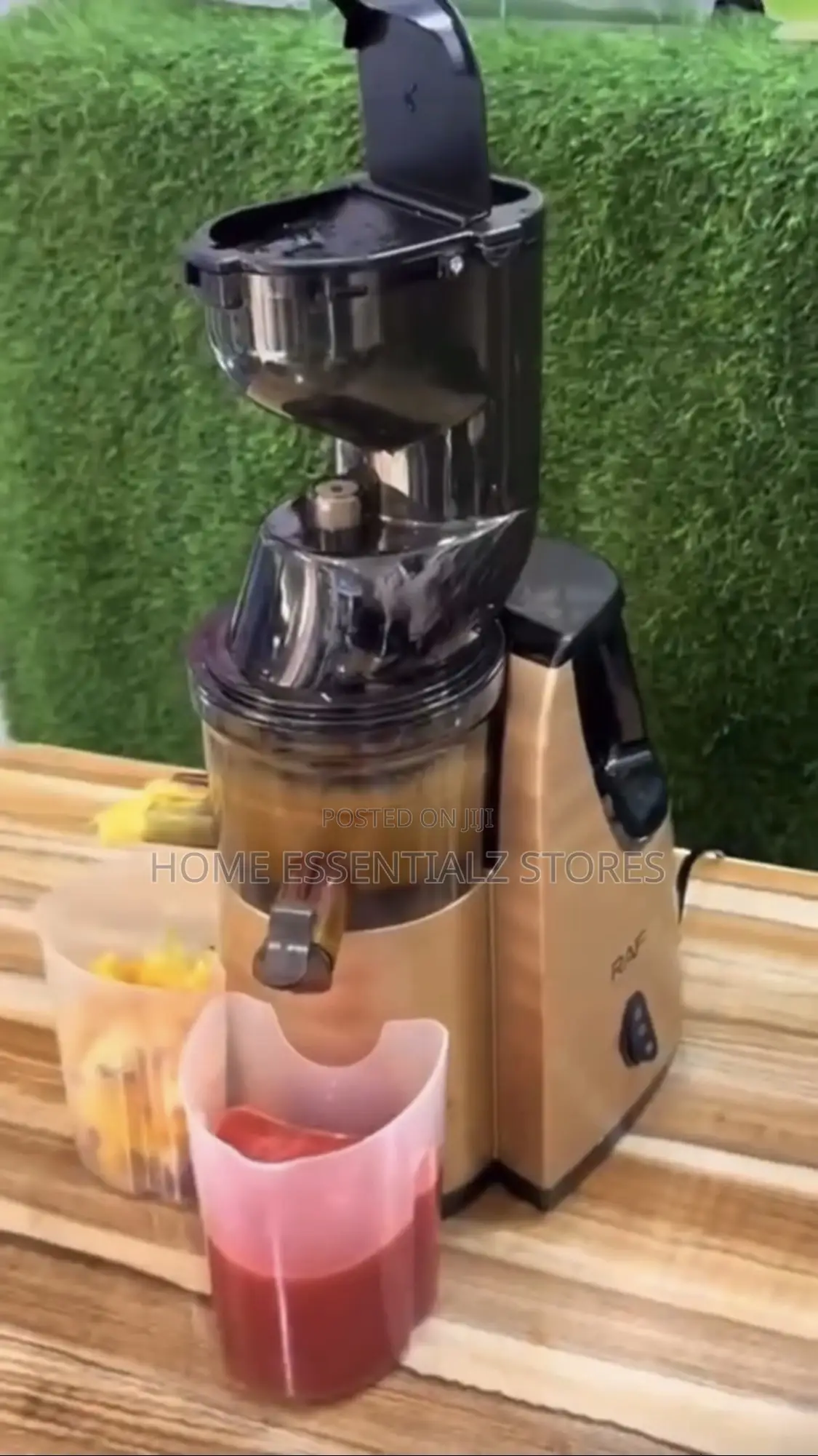 Raf Slow Juicer Smoothie Maker - Juice Blender