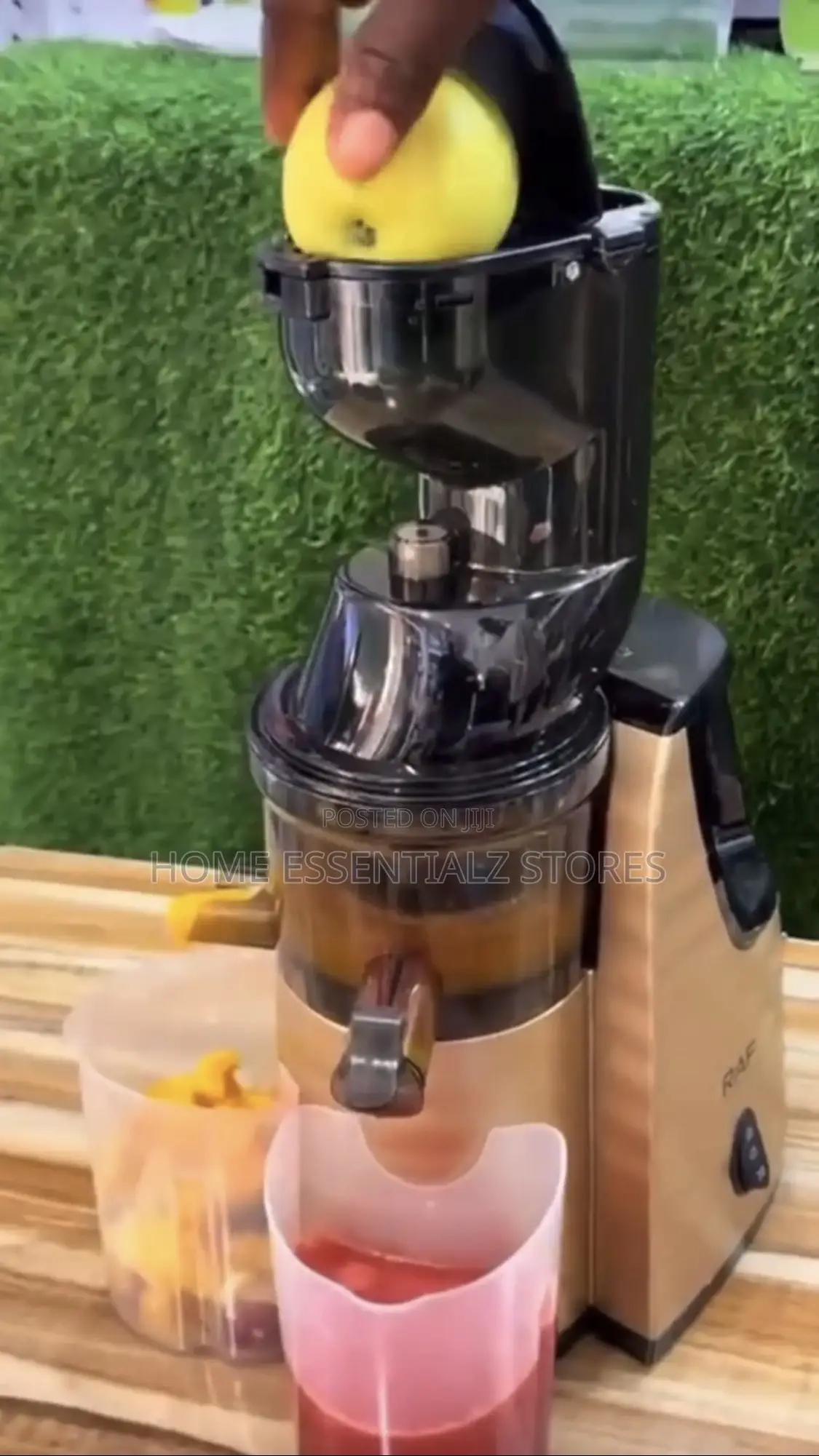 Raf Slow Juicer Smoothie Maker - Juice Blender