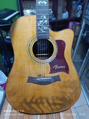 Rosen Electro-Acoustic/Semi-Acoustic Guitar