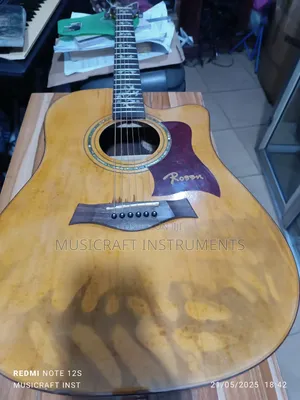 Rosen Electro-Acoustic/Semi-Acoustic Guitar