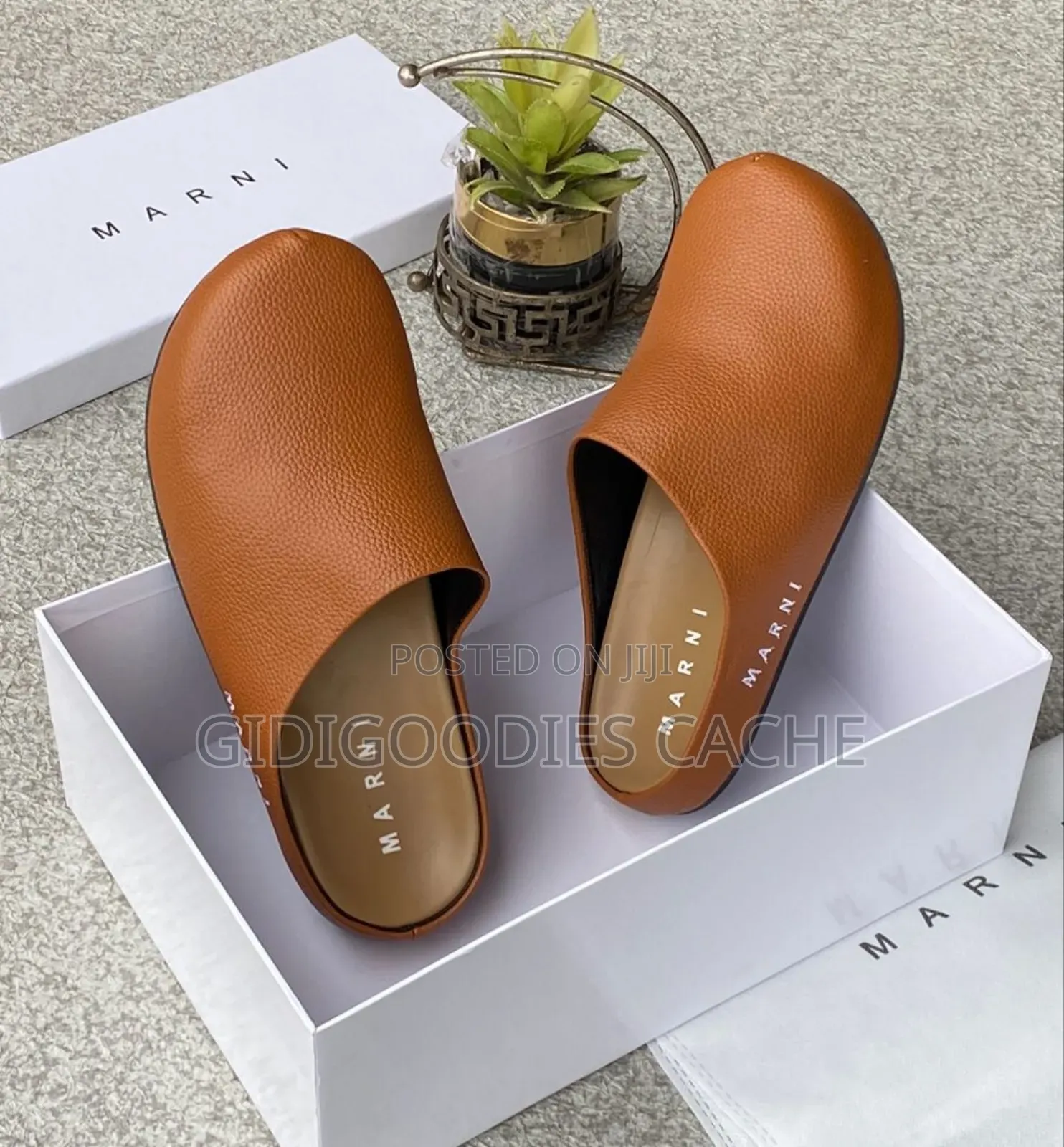 Marni Mules