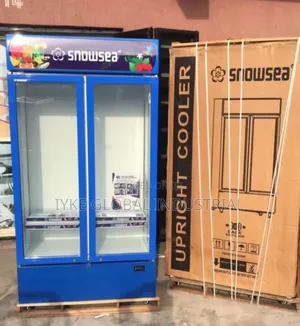Double Door Snowsea Chiller