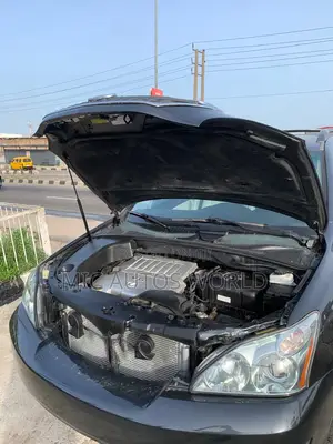 Lexus RX 2009 Gray