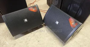 Steck Audio 12 Inches Monitor Speaker
