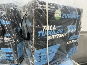 220a Tubular Battery Everseed