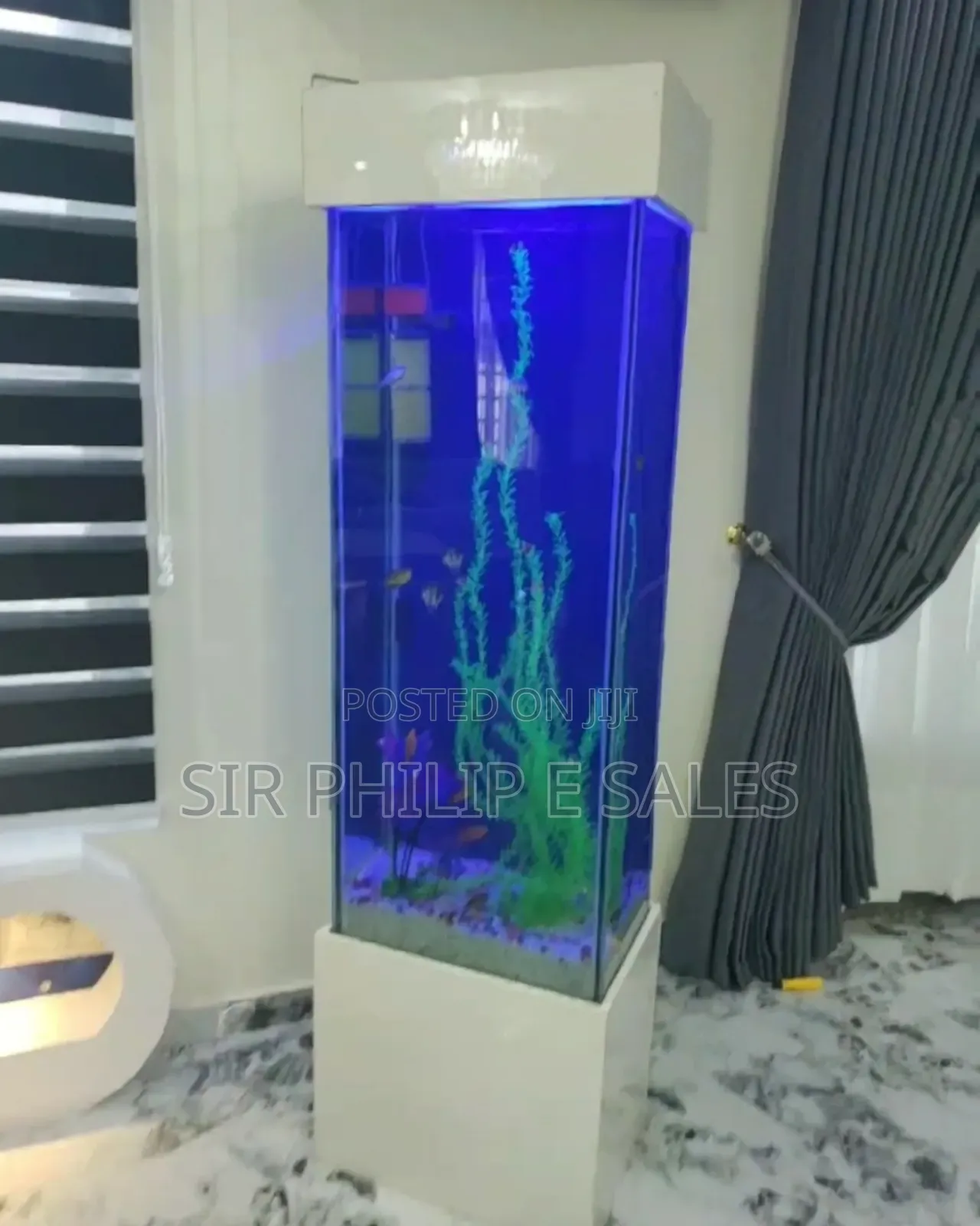 Standing Aquarium