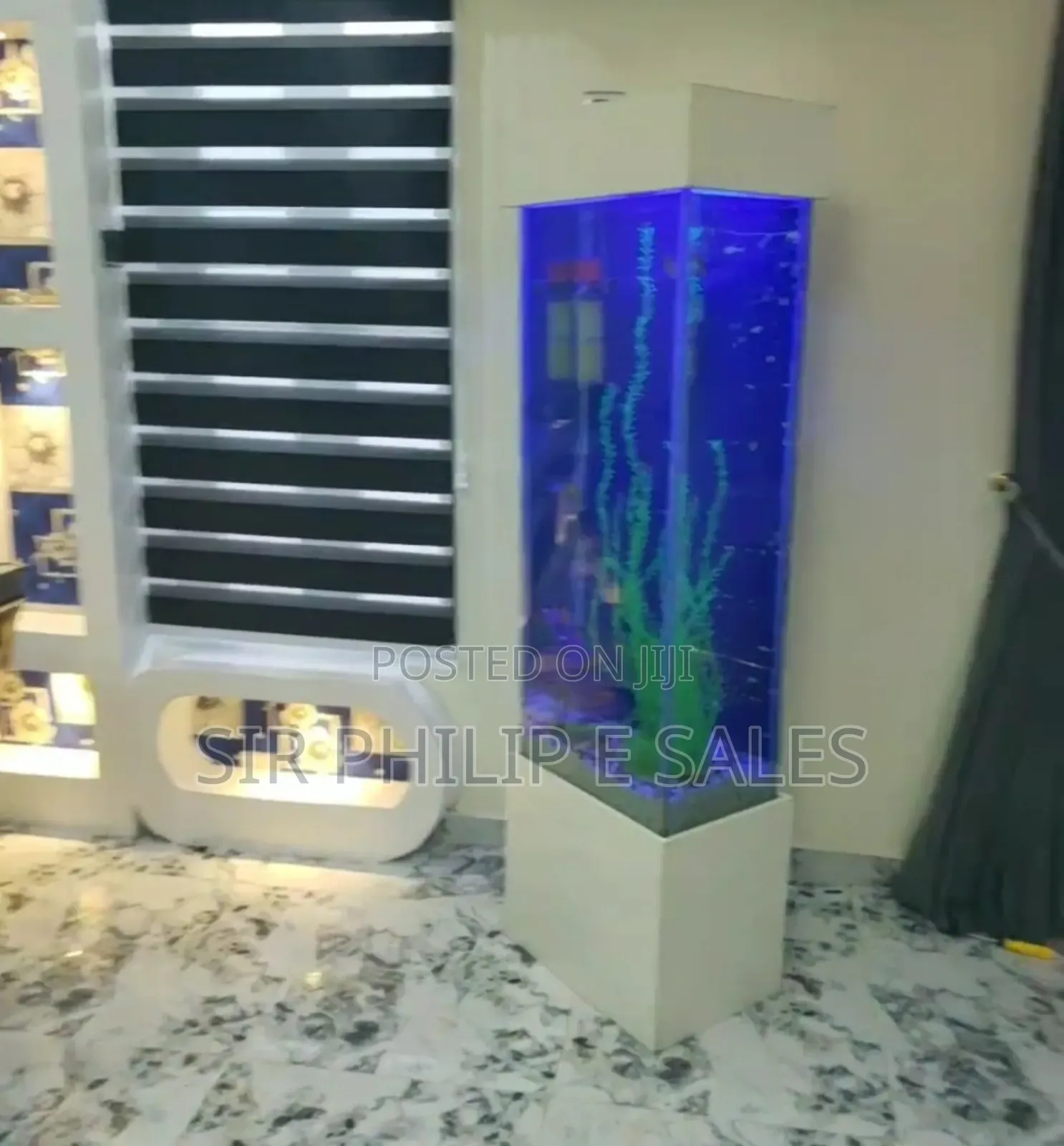 Standing Aquarium