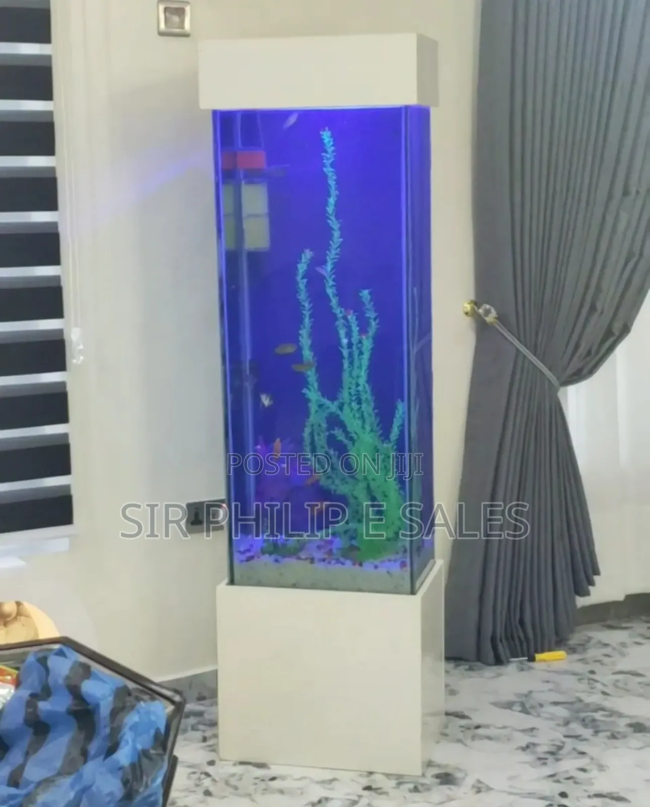 Standing Aquarium