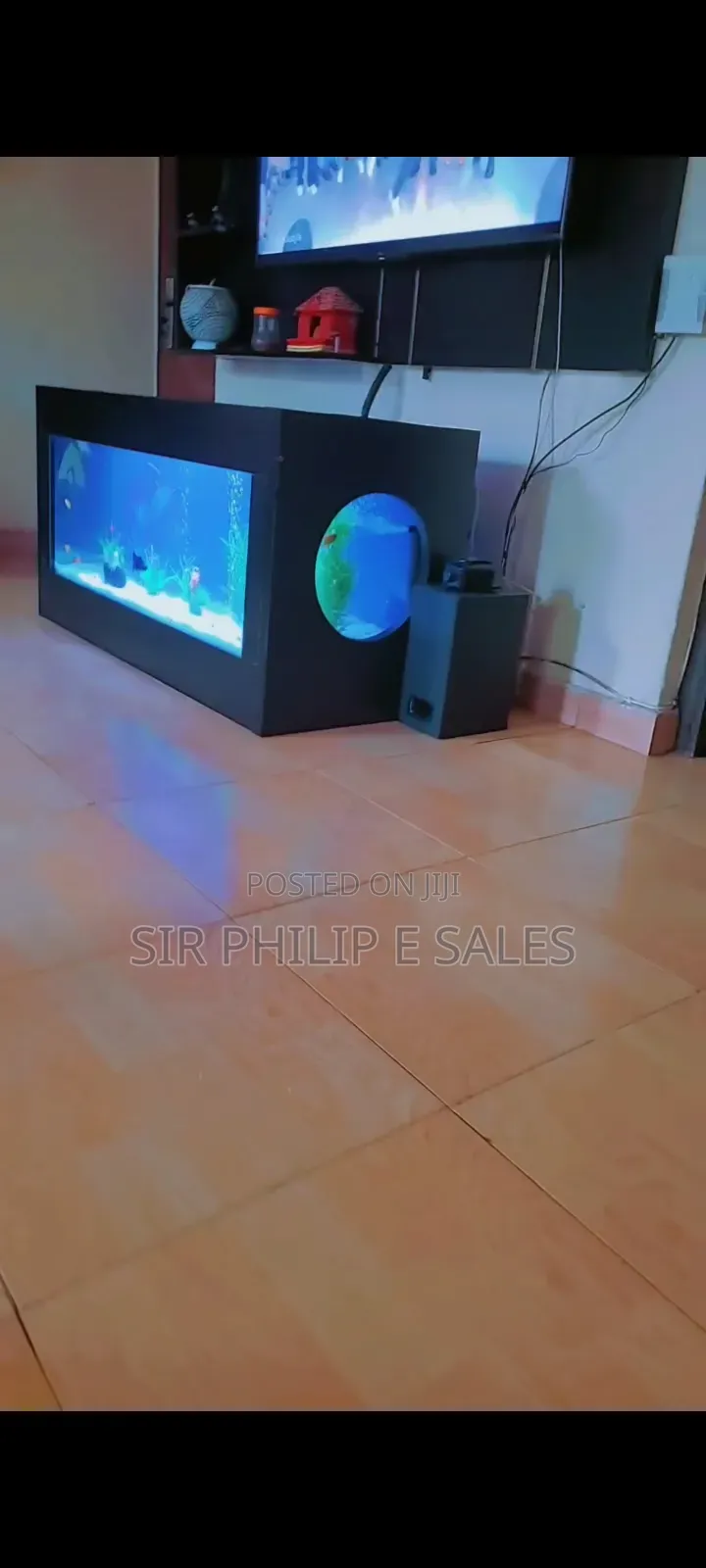 Standing Aquarium