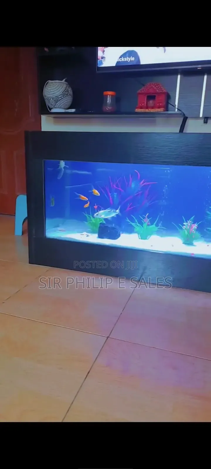 Standing Aquarium