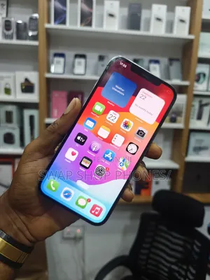 Apple iPhone 12 Pro Max 256 GB Gray