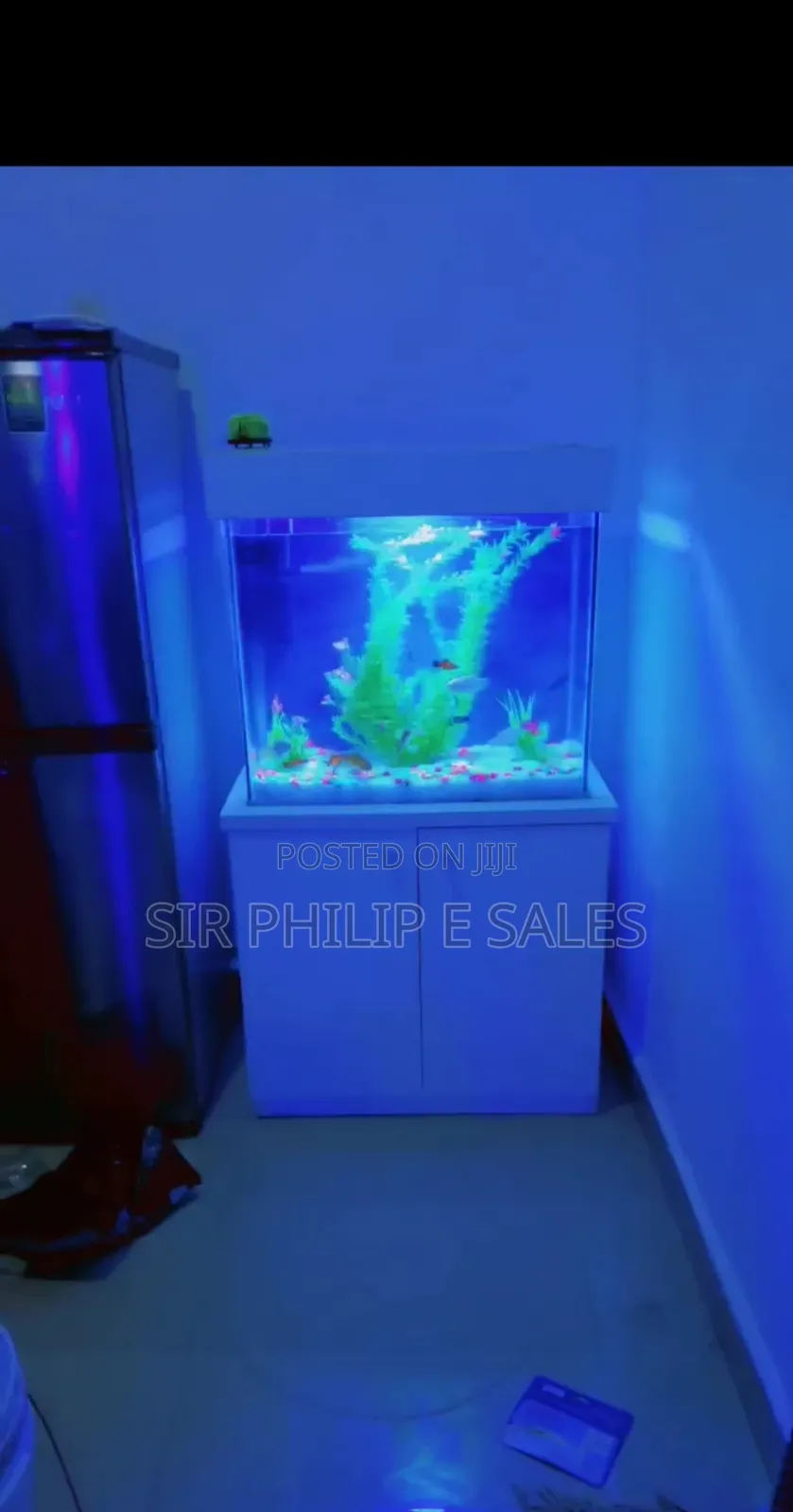 Standing Aquarium
