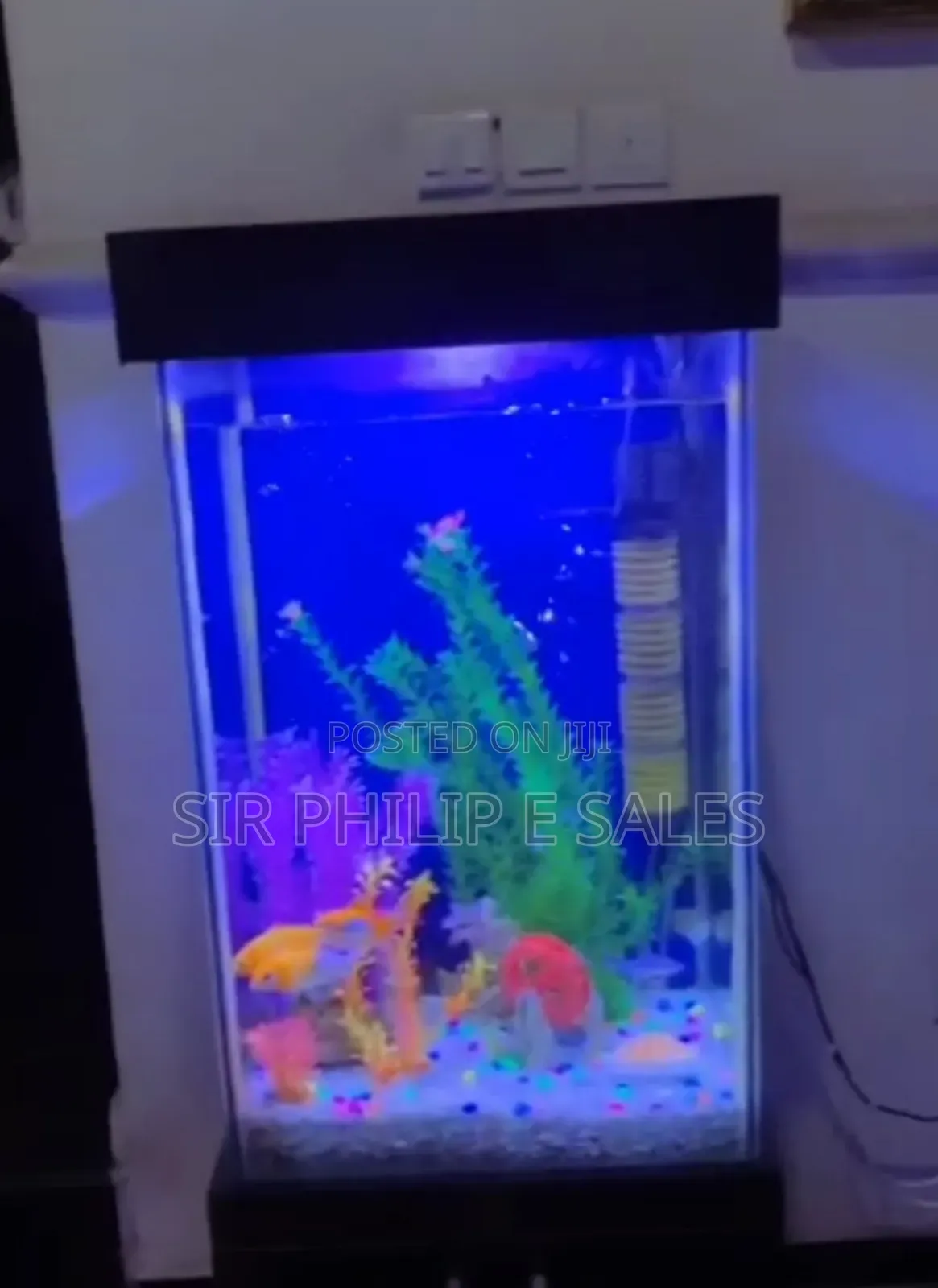 Standing Aquarium