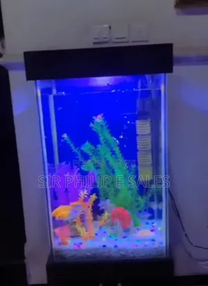 Standing Aquarium