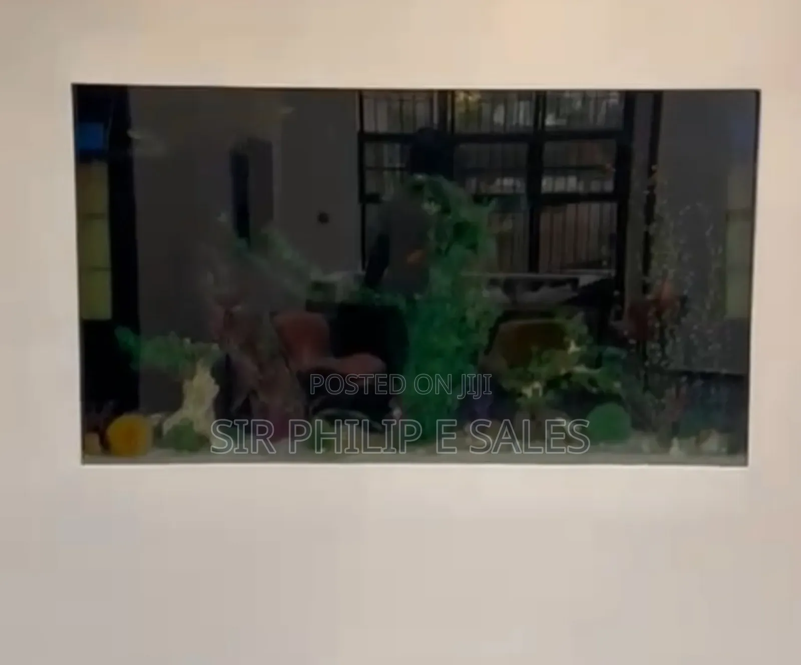 Standing Aquarium