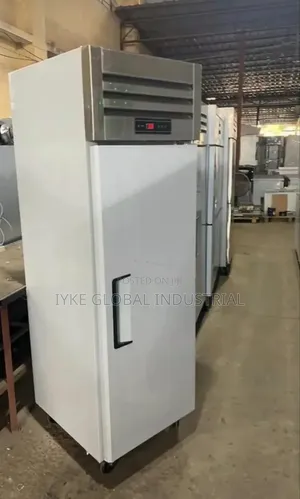 Industrial Freezer Single Door