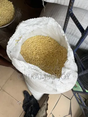 Dog Noodles